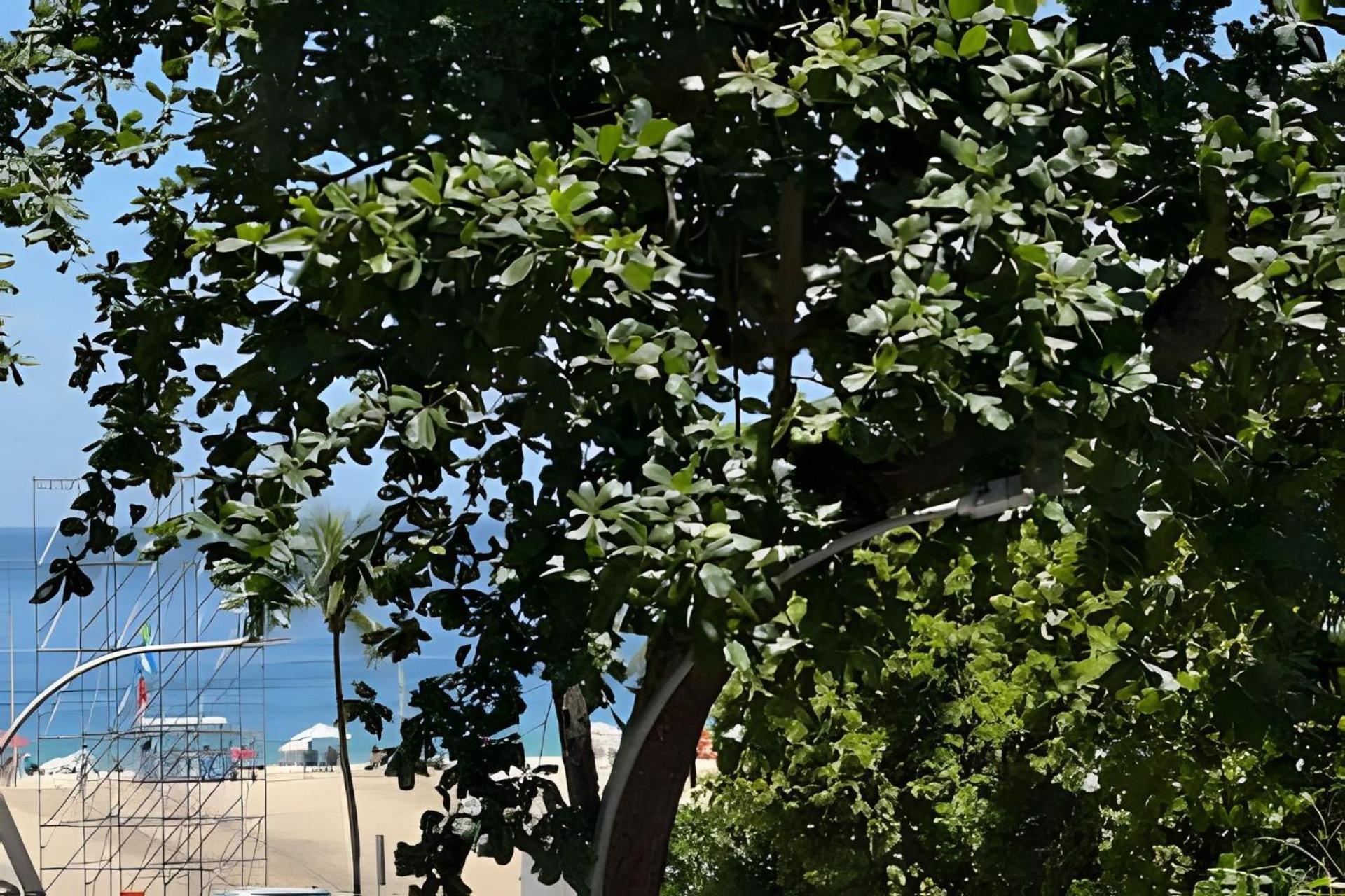 Pe Na Areia Leilighet Rio de Janeiro Eksteriør bilde